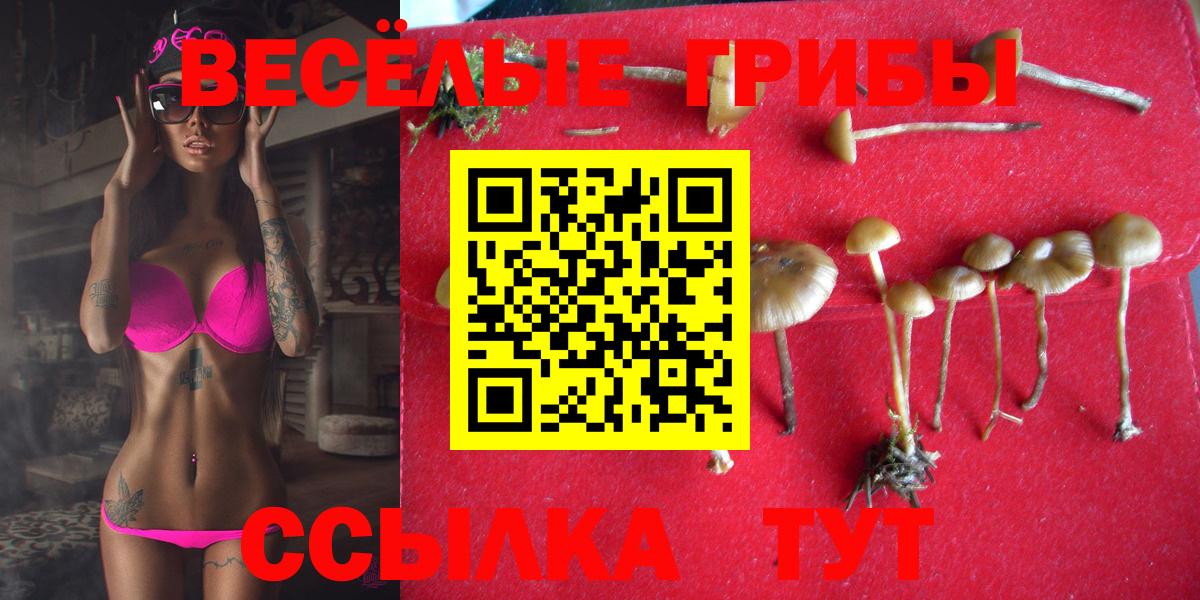 Псилоцибиновые грибы GOLDEN TEACHER Камышин