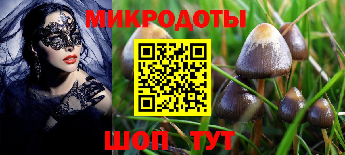 Камышин  Псилоцибиновые грибы GOLDEN TEACHER  Вход с VPN  Псилоцибиновые грибы мухоморы 